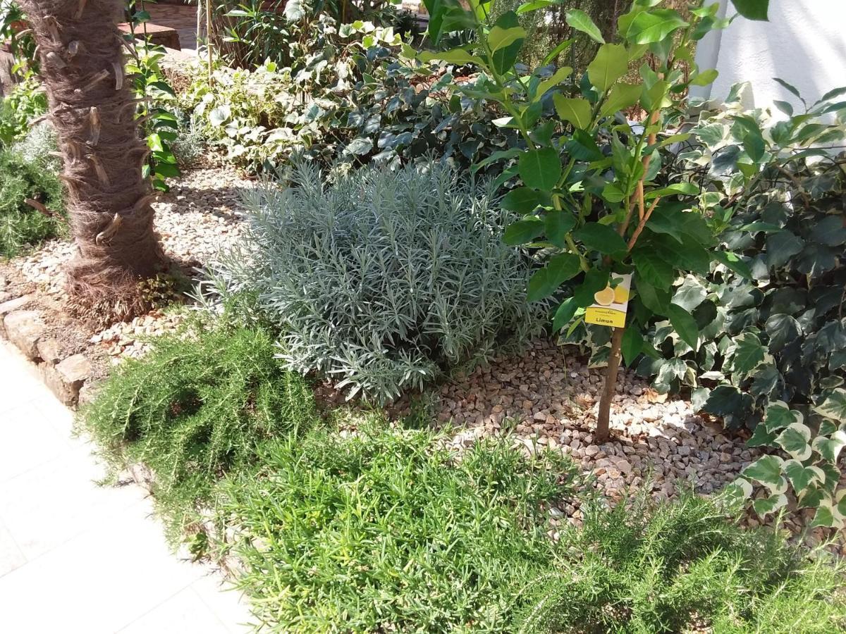 מאלינסקה And Charming Apartment In Vantacici מראה חיצוני תמונה